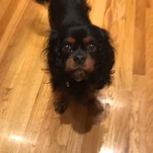 Meet your Posher, Beth